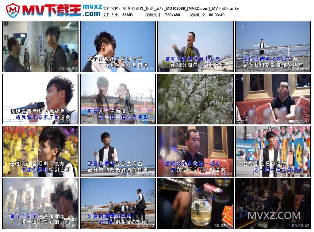 左博-红蔷薇_国语_流行_MD102089
